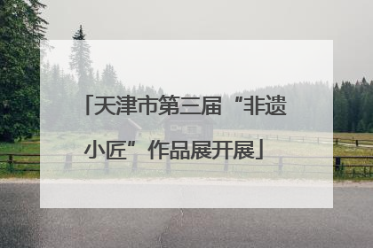 天津市第三届“非遗小匠”作品展开展