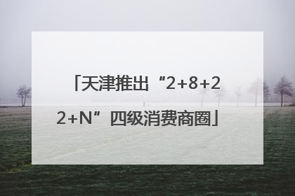天津推出“2+8+22+N”四级消费商圈