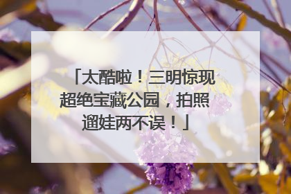 太酷啦！三明惊现超绝宝藏公园，拍照遛娃两不误！