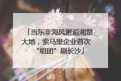 当东非海风邂逅湘楚大地，索马里企业首次“组团”刷长沙