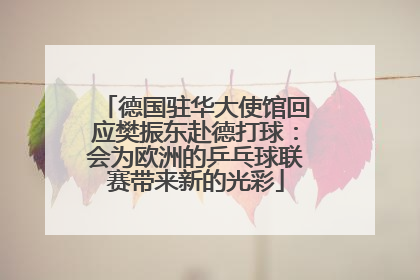 德国驻华大使馆回应樊振东赴德打球：会为欧洲的乒乓球联赛带来新的光彩