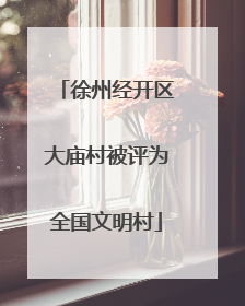 徐州经开区大庙村被评为全国文明村
