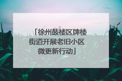 徐州鼓楼区牌楼街道开展老旧小区微更新行动
