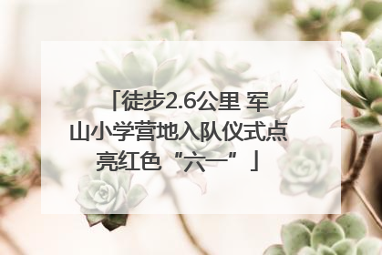 徒步2.6公里 军山小学营地入队仪式点亮红色“六一”