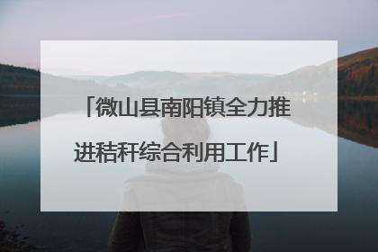 微山县南阳镇全力推进秸秆综合利用工作