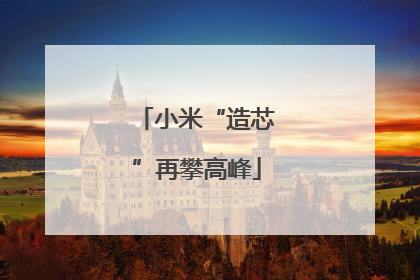 小米“造芯”再攀高峰
