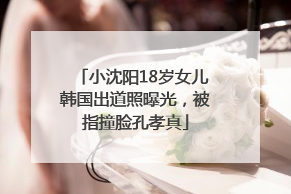 小沈阳18岁女儿韩国出道照曝光，被指撞脸孔孝真