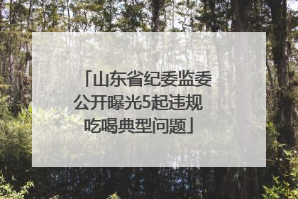山东省纪委监委公开曝光5起违规吃喝典型问题