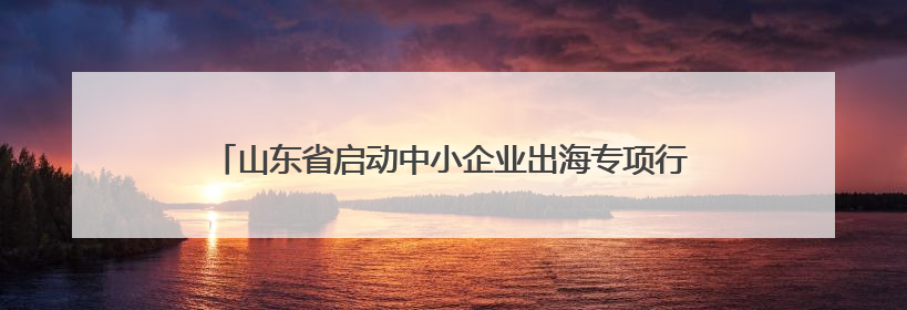 山东省启动中小企业出海专项行动 以优质中小企业“走出去”新成效展示山东产业发展新形象