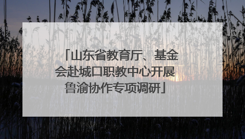 山东省教育厅、基金会赴城口职教中心开展鲁渝协作专项调研