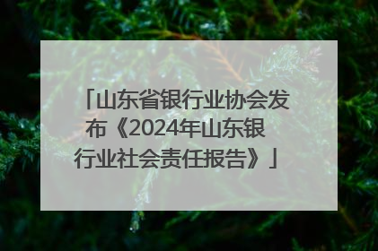 山东省银行业协会发布《2024年山东银行业社会责任报告》