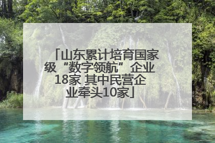 山东累计培育国家级“数字领航”企业18家 其中民营企业牵头10家
