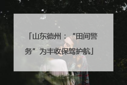 山东德州：“田间警务”为丰收保驾护航