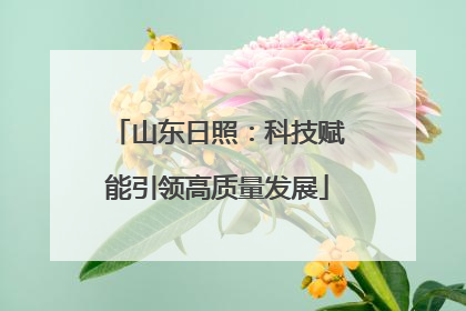 山东日照：科技赋能引领高质量发展