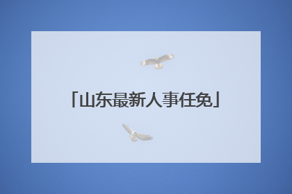 山东最新人事任免