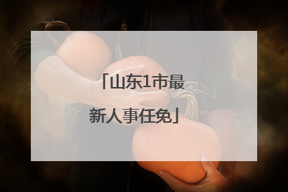 山东1市最新人事任免