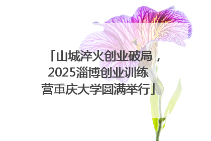 山城淬火创业破局，2025淄博创业训练营重庆大学圆满举行
