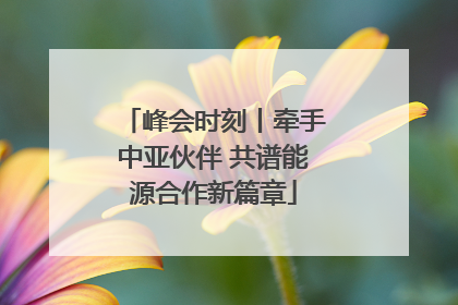 峰会时刻丨牵手中亚伙伴 共谱能源合作新篇章