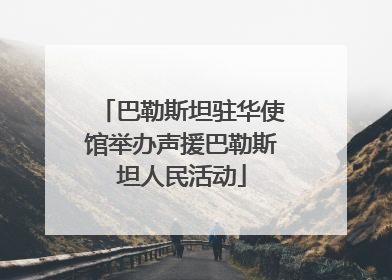 巴勒斯坦驻华使馆举办声援巴勒斯坦人民活动