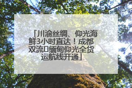 川渝丝绸、仰光海鲜3小时直达！成都双流⇌缅甸仰光全货运航线开通