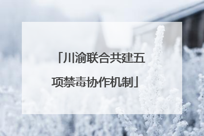 川渝联合共建五项禁毒协作机制