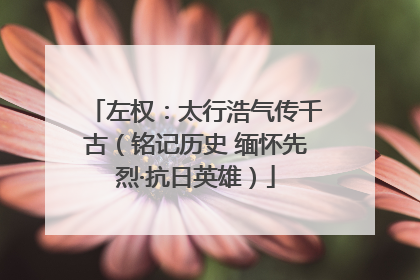左权：太行浩气传千古（铭记历史 缅怀先烈·抗日英雄）