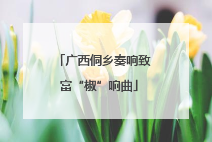 广西侗乡奏响致富“椒”响曲