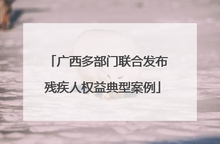 广西多部门联合发布残疾人权益典型案例