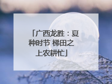 广西龙胜：夏种时节 梯田之上农耕忙