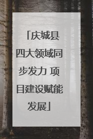 庆城县 四大领域同步发力 项目建设赋能发展