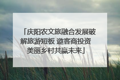 庆阳农文旅融合发展破解旅游短板 邀客商投资美丽乡村共赢未来