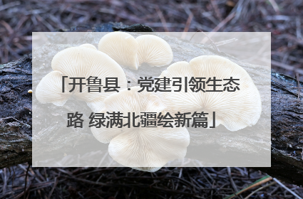 开鲁县：党建引领生态路 绿满北疆绘新篇