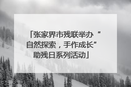 张家界市残联举办“自然探索，手作成长”助残日系列活动