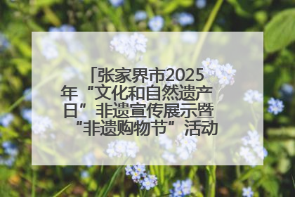 张家界市2025年“文化和自然遗产日”非遗宣传展示暨“非遗购物节”活动在慈利县盛大启幕