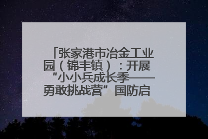 张家港市冶金工业园（锦丰镇）：开展“小小兵成长季——勇敢挑战营”国防启蒙教育活动