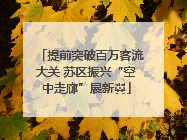提前突破百万客流大关 苏区振兴“空中走廊”展新翼