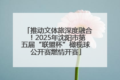 推动文体旅深度融合！2025年沈阳市第五届“联盟杯”橄榄球公开赛燃情开赛