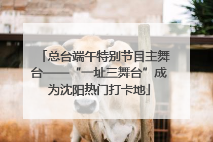 总台端午特别节目主舞台——“一址三舞台”成为沈阳热门打卡地
