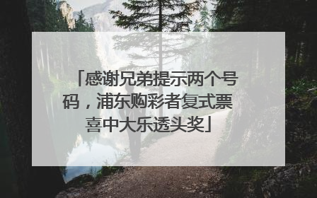 感谢兄弟提示两个号码，浦东购彩者复式票喜中大乐透头奖