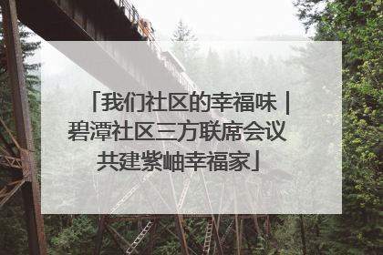 我们社区的幸福味｜碧潭社区三方联席会议共建紫岫幸福家