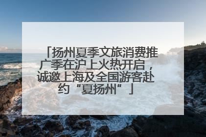 扬州夏季文旅消费推广季在沪上火热开启，诚邀上海及全国游客赴约“夏扬州”