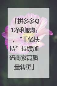 拼多多Q1净利腰斩，“千亿扶持”持续加码商家高质量转型