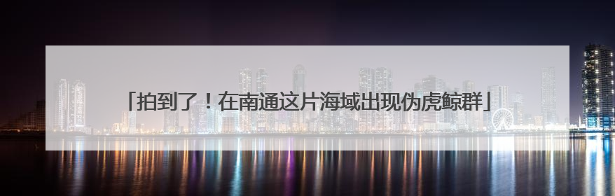 拍到了！在南通这片海域出现伪虎鲸群