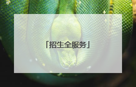 招生全服务