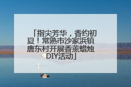 指尖芳华，香约初夏！常熟市沙家浜镇唐东村开展香薰蜡烛DIY活动