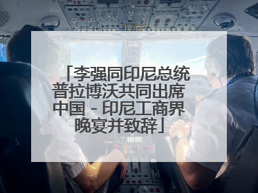 李强同印尼总统普拉博沃共同出席中国－印尼工商界晚宴并致辞