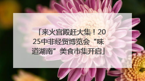 来火宫殿赶大集！2025中非经贸博览会“味道湖南”美食市集开启