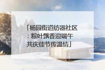 杨园街道纺器社区：粽叶飘香迎端午 共庆佳节传温情