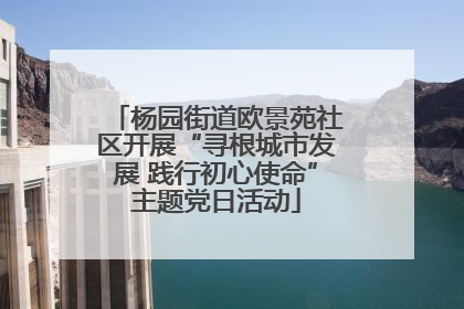 杨园街道欧景苑社区开展“寻根城市发展 践行初心使命”主题党日活动