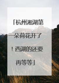 杭州湘湖第一朵荷花开了！西湖的还要再等等
